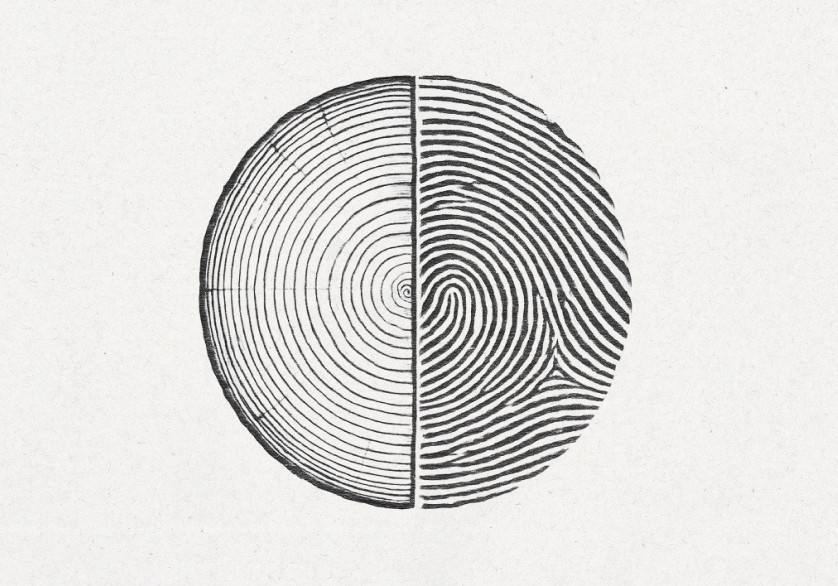 Economics of Human-Centered AI